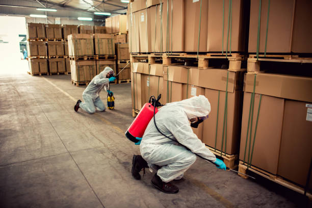Best Pest Inspection Near Me  in Vandalia, IL