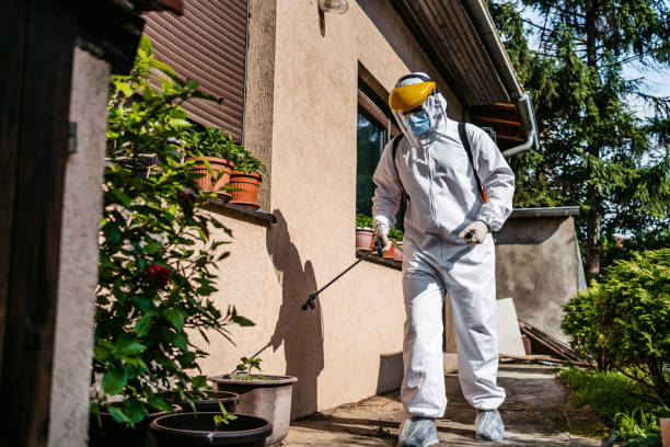 Best Rat Extermination Near Me  in Vandalia, IL