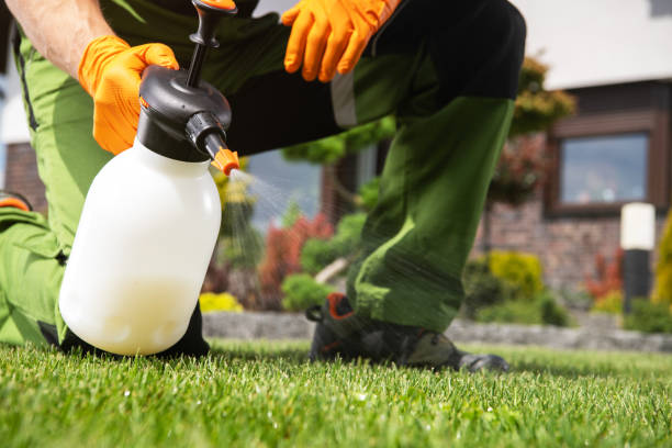 Best Emergency Pest Control  in Vandalia, IL