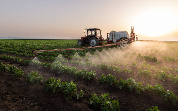 Best Pest Removal Services  in Vandalia, IL