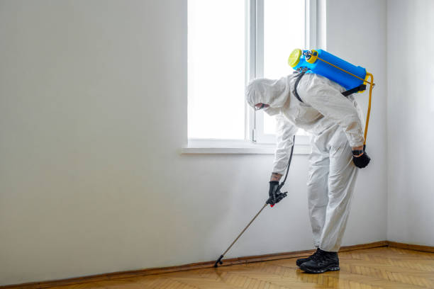 Best Termite Control Services  in Vandalia, IL