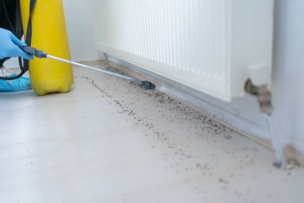 Best Affordable Pest Control Services  in Vandalia, IL