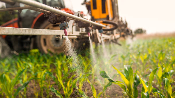 Best Local Pest Control Services  in Vandalia, IL